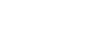 The Palace Group